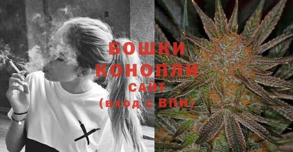 apvp Богородицк