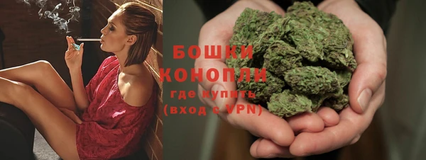 молекула духа Бородино