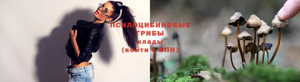 apvp Богородицк