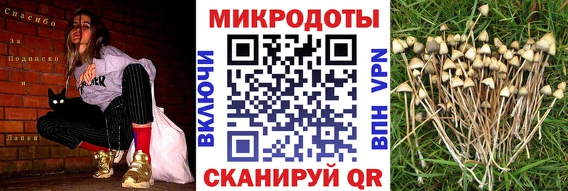 МЕГА ССЫЛКА  Нижневартовск  Псилоцибиновые грибы Magic Shrooms 